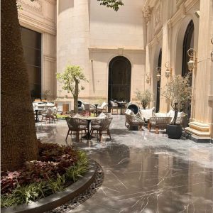 حديقة كوريشيا فندق ريتز كارلتون